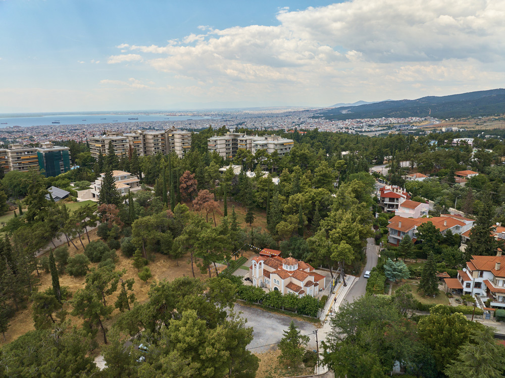 0002__ALE_VAS